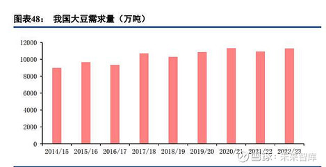 农林牧渔行业研究报告:养殖复苏如期至,粮食安全重于天