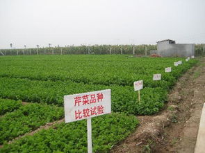 西北农林科技大学园艺学院