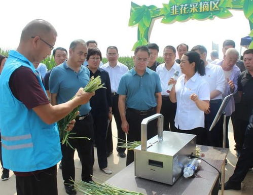 运城市蔬菜 韭菜 生产机械化新技术新机具推广培训会在盐湖区召开